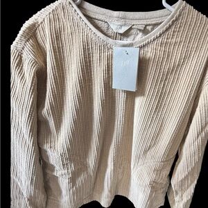 J. Jill Neutral Beige Ribbed Corduroy pullover top Size XS - New